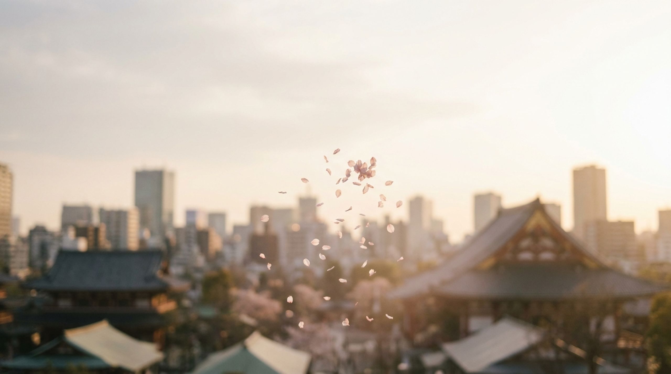 Daily Japanese