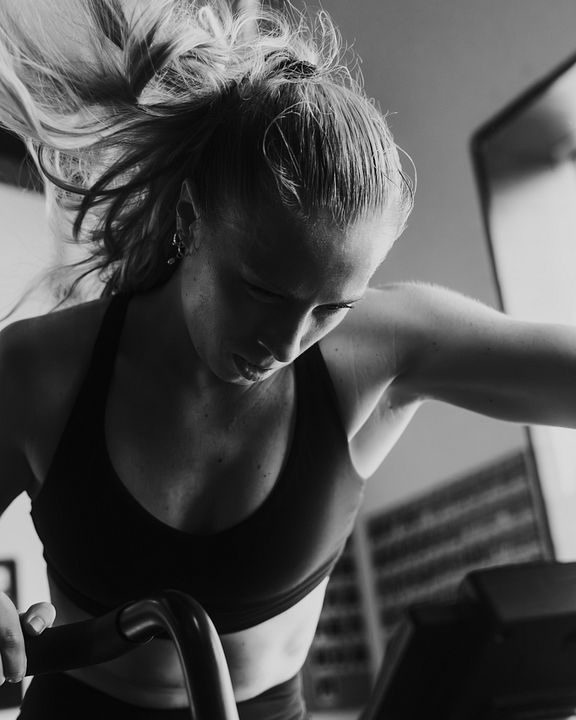 CBFit