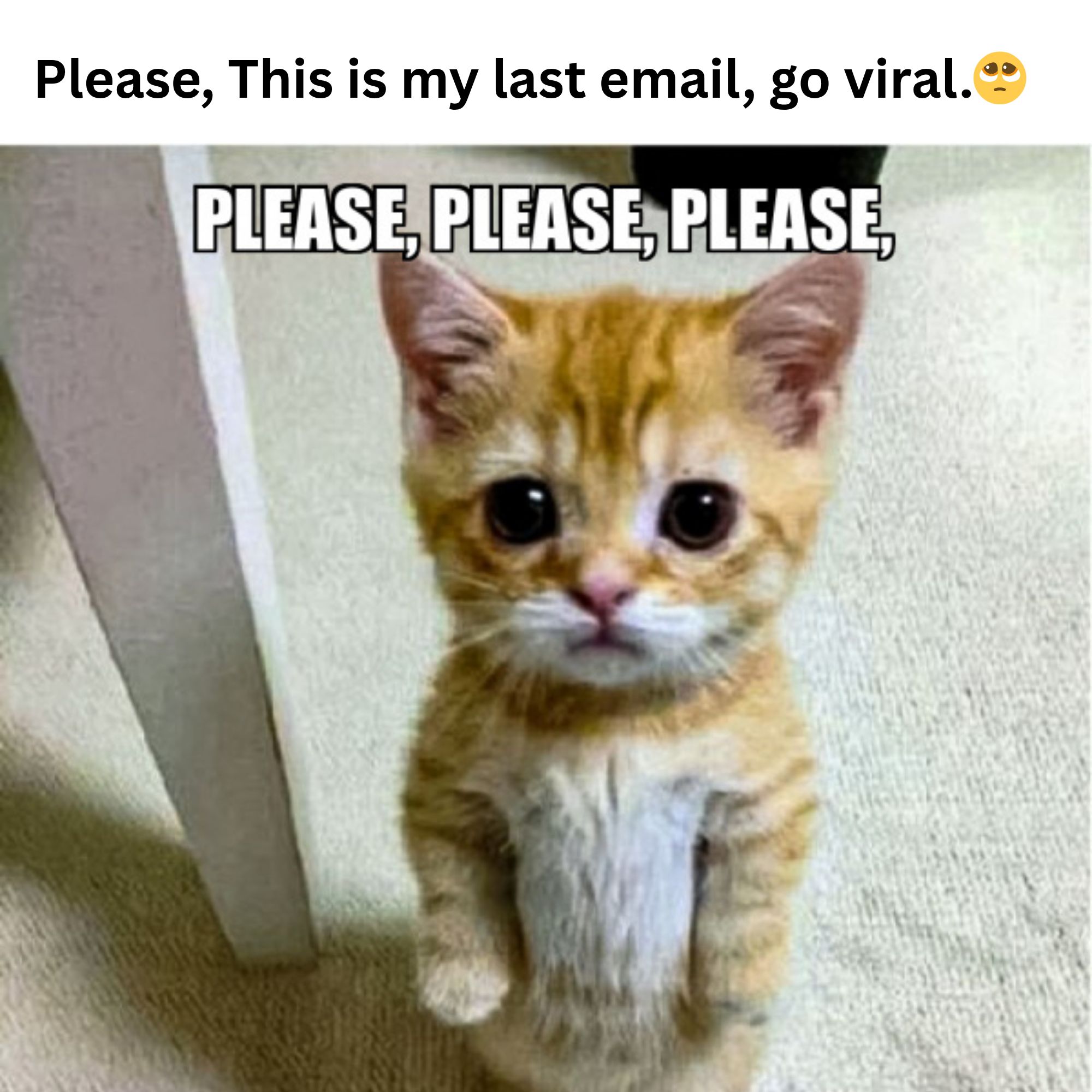 file_MjsCVUkIeXOCL