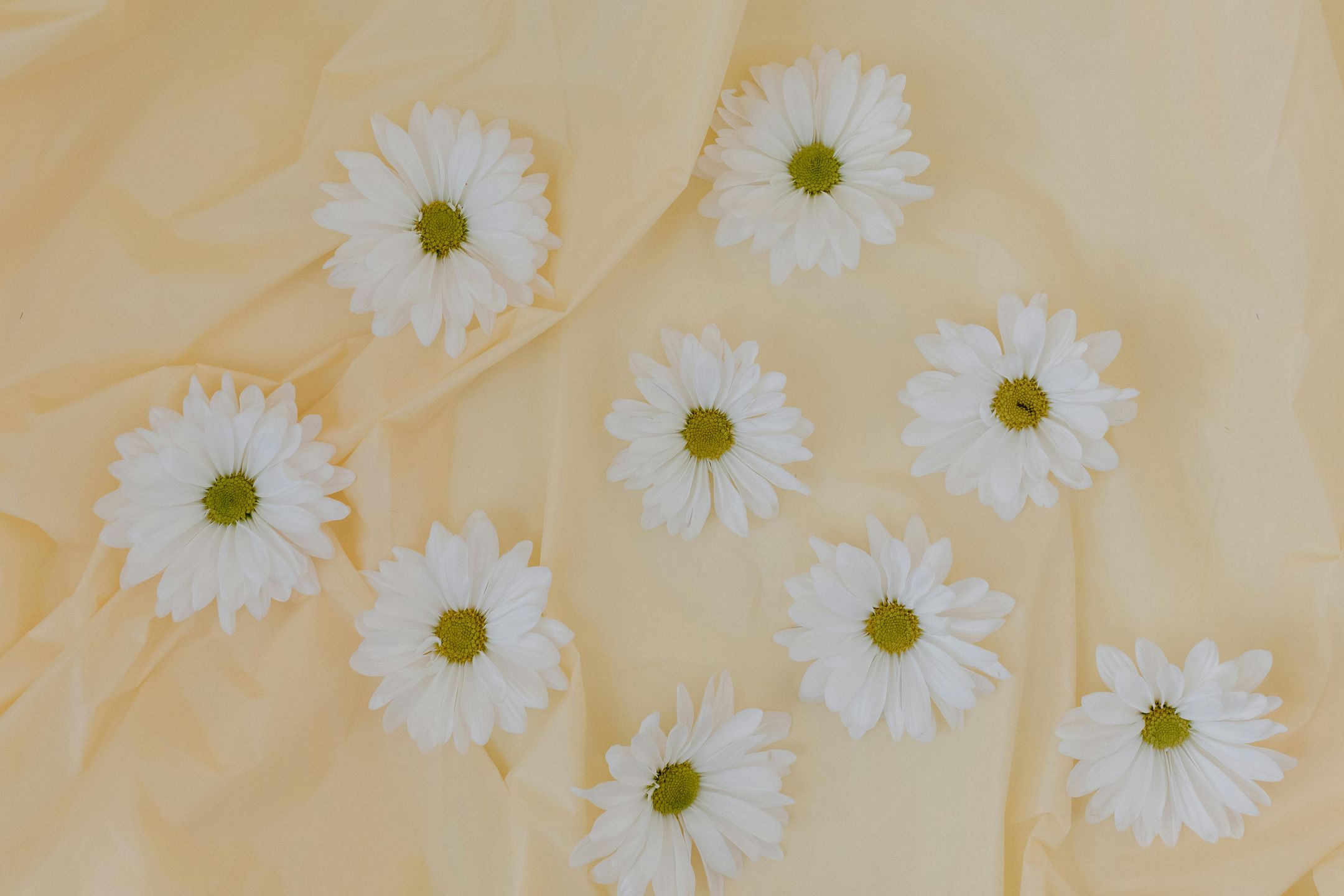 petal pages