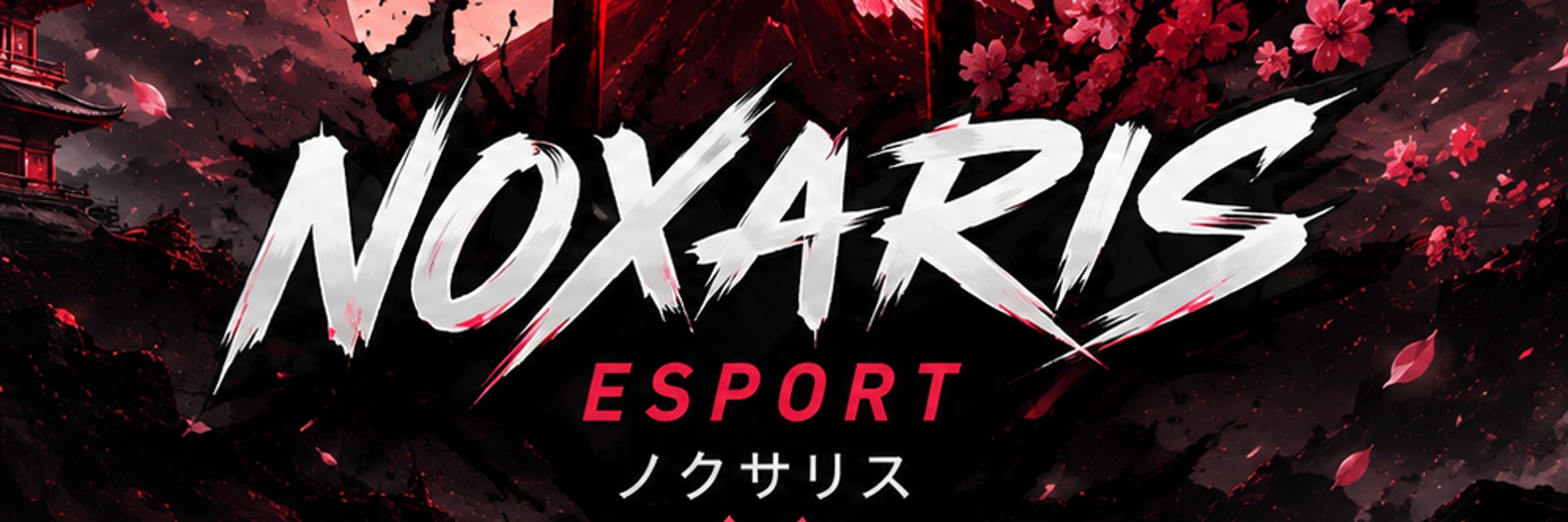 NOXARIS Esport