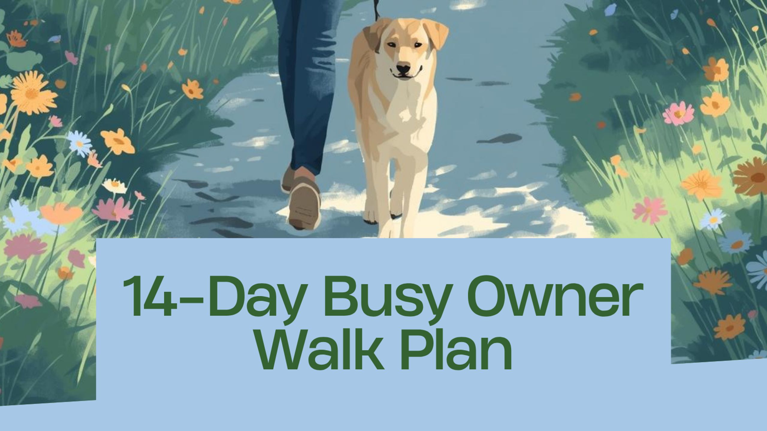 14-Day Busy Owner Walk Plan