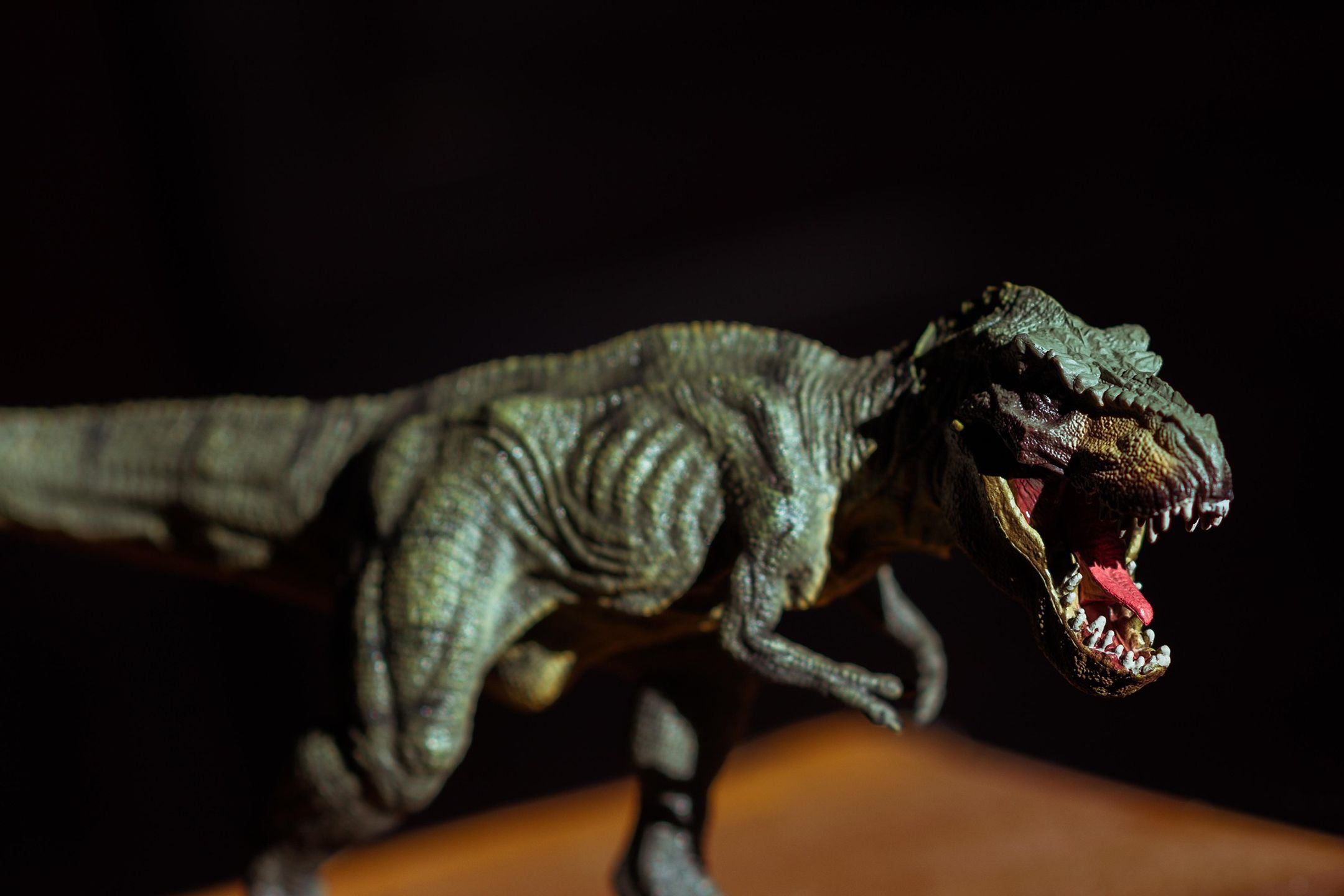 Tyrannosaurus rex