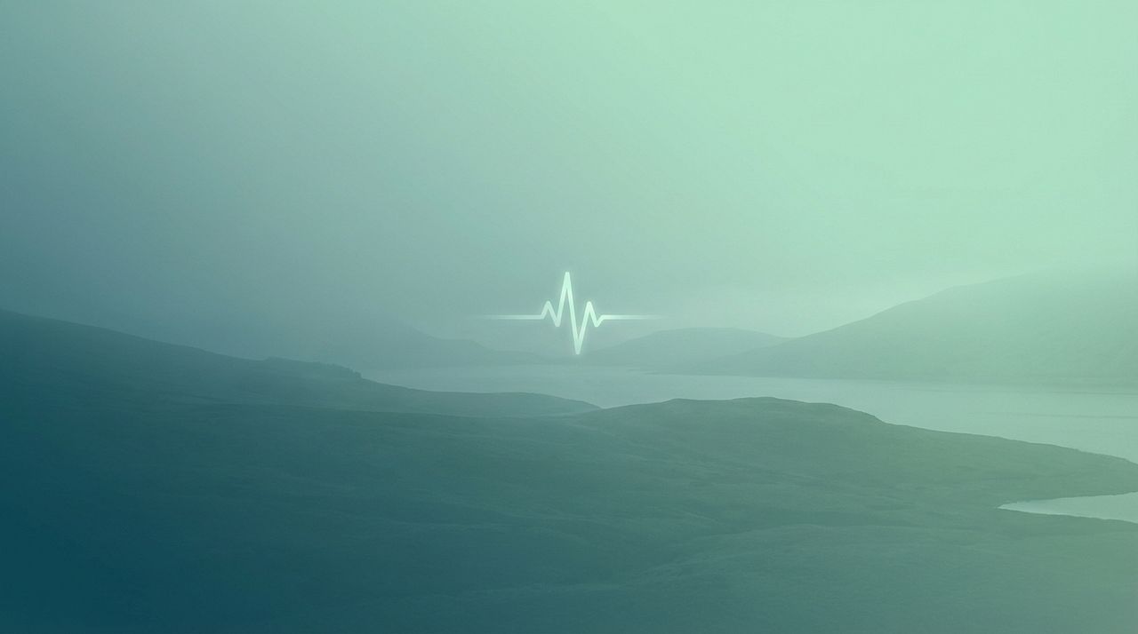 HealthPulse