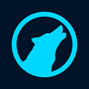 The APEX Trading Group