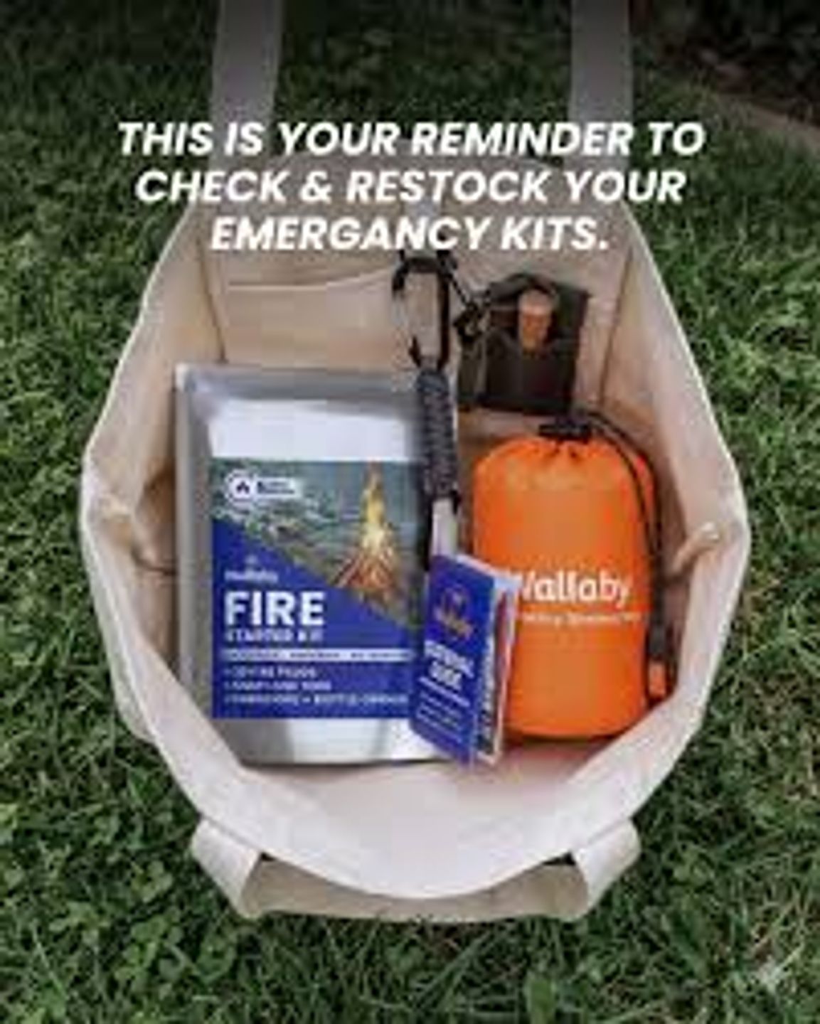 Households Stocking Emergency Kits