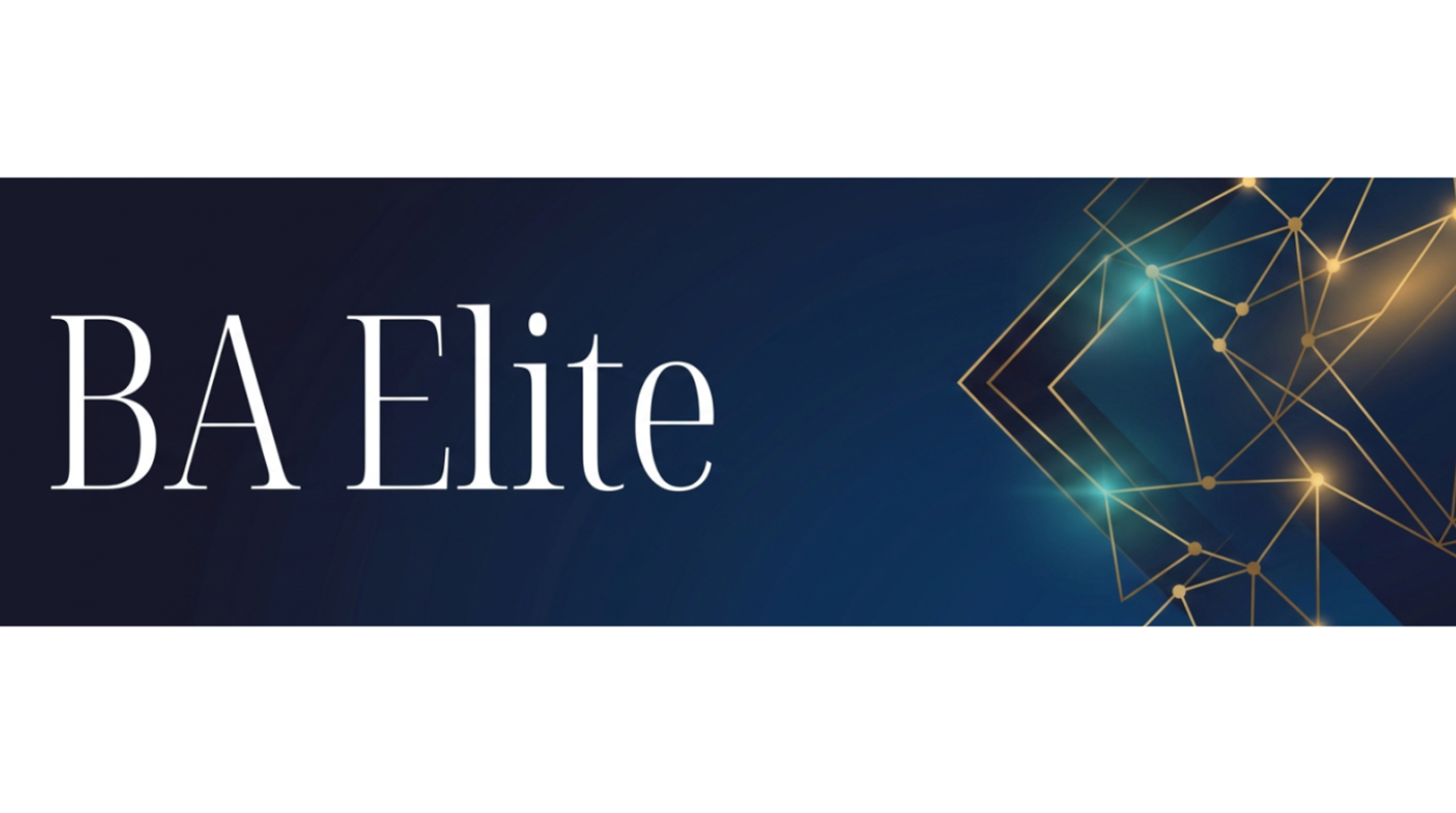 Business Analyst Elite