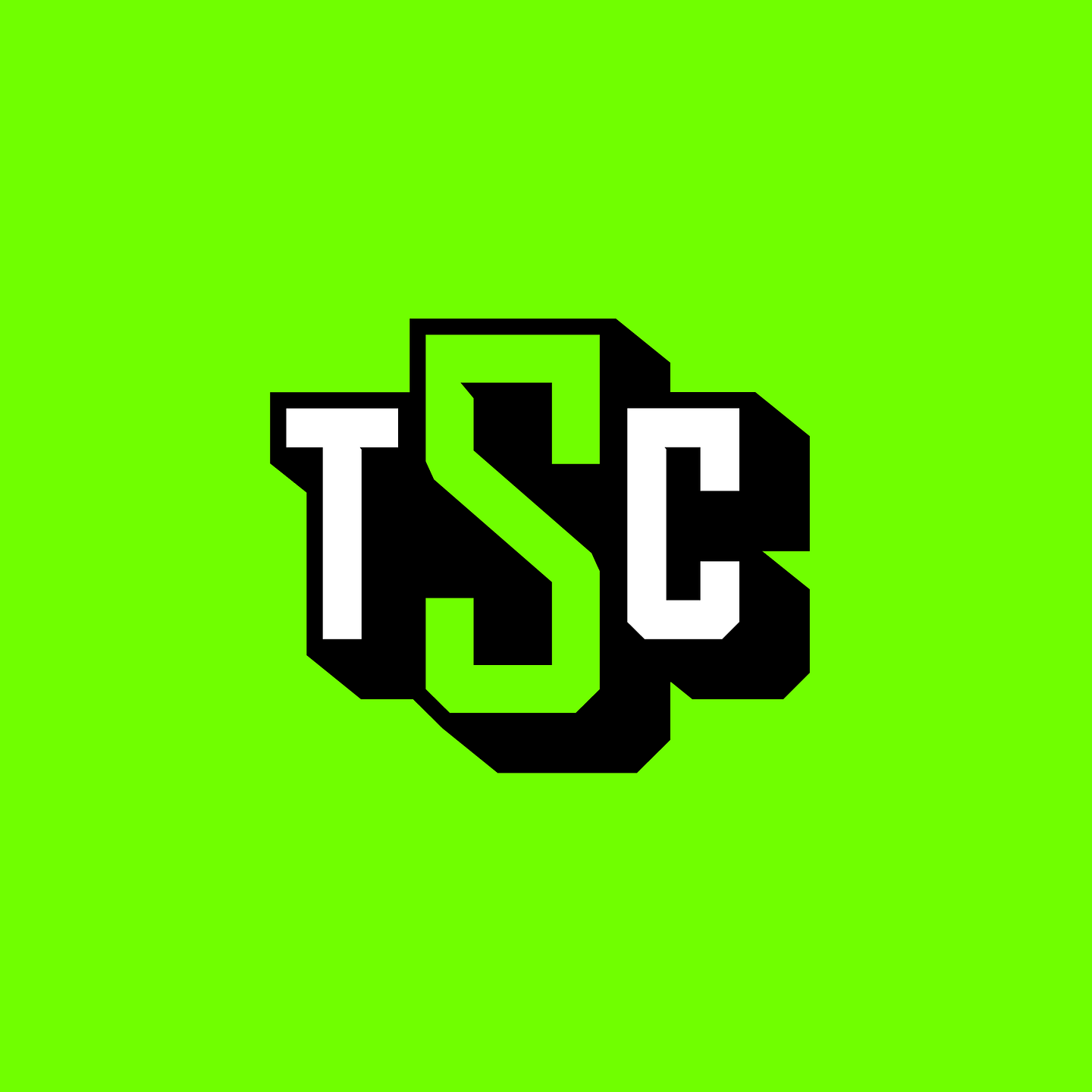 The Sports Council
