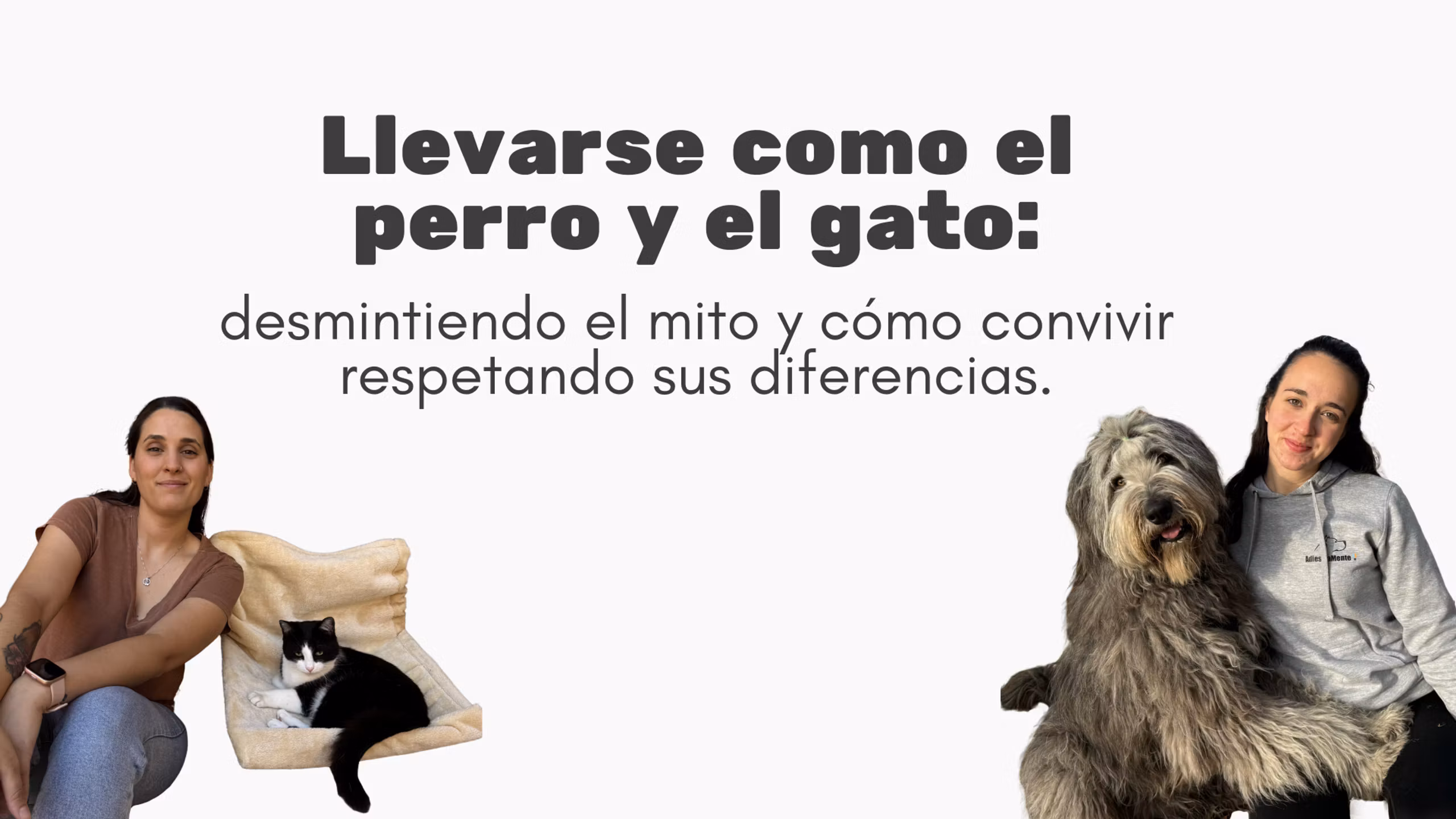 Adiestramente