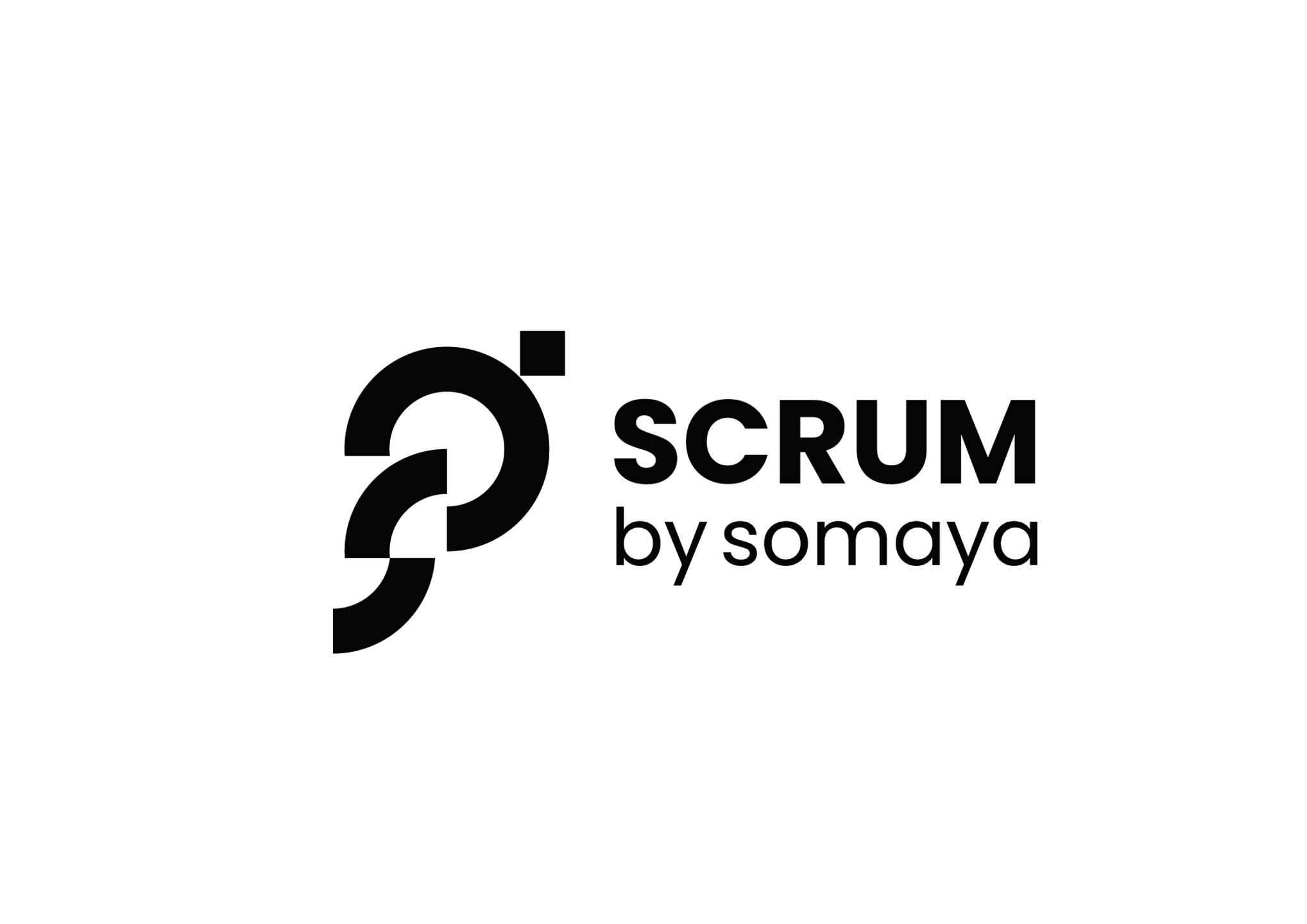 Product Owner