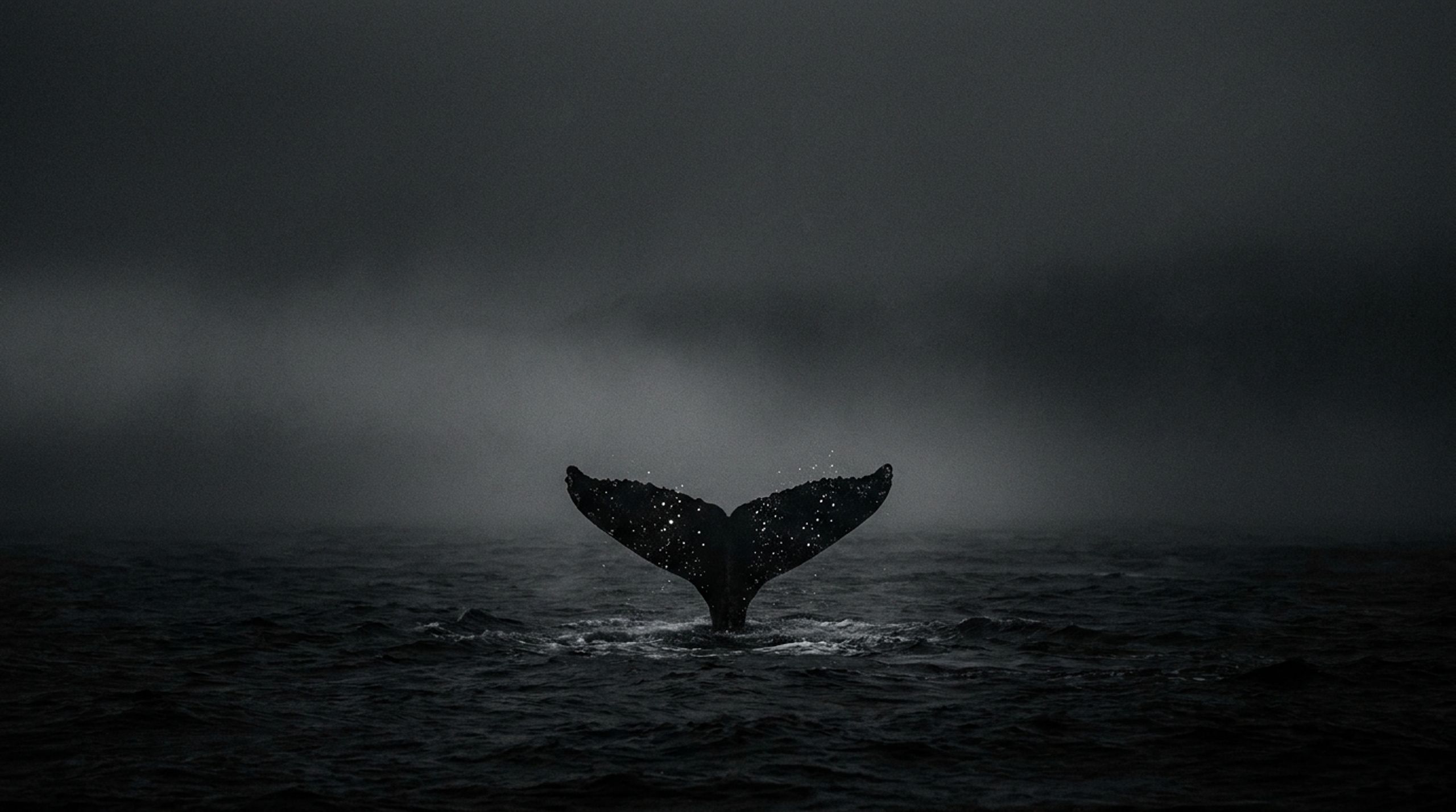Leviathan