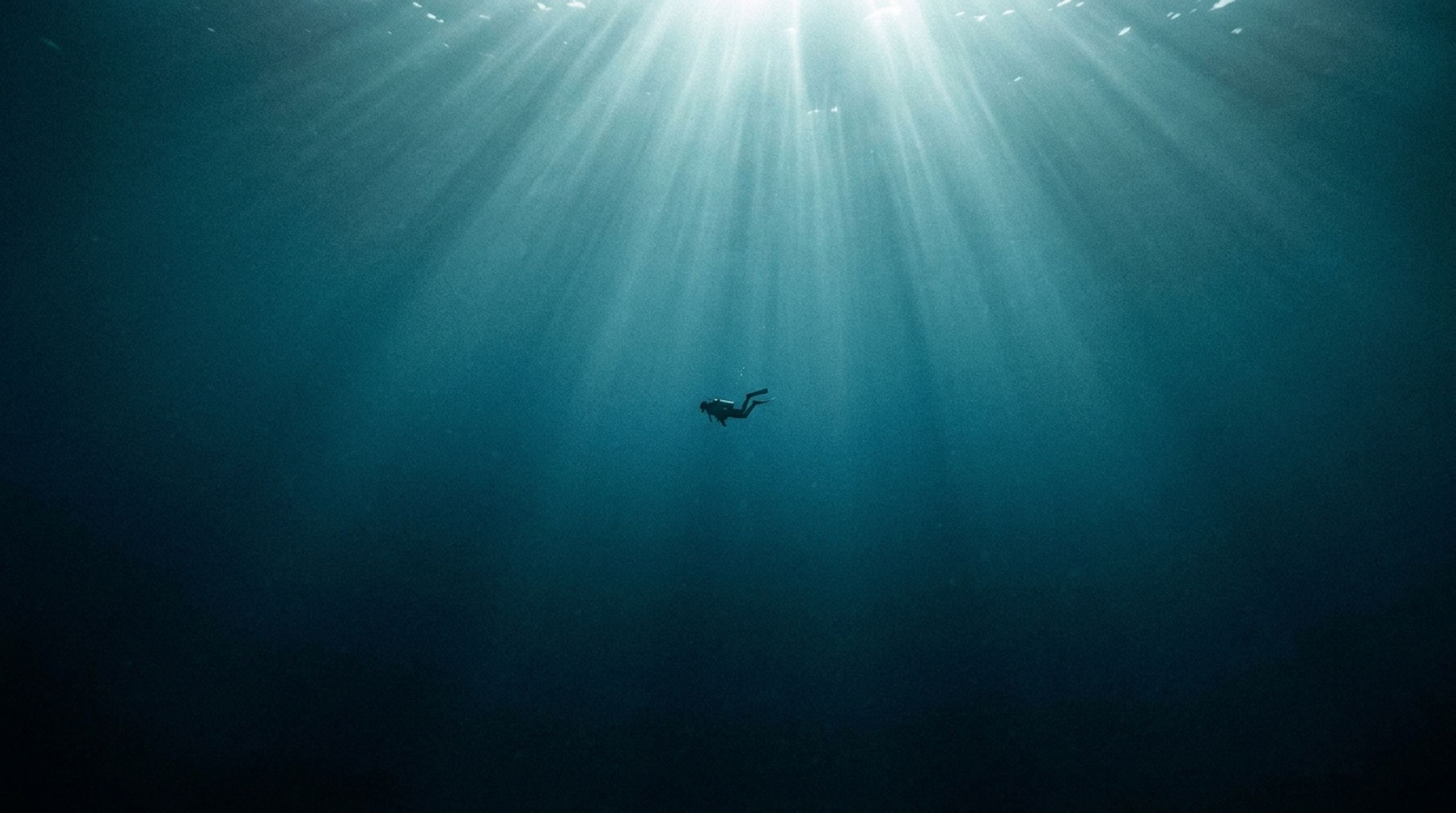 Apex Dive Academy