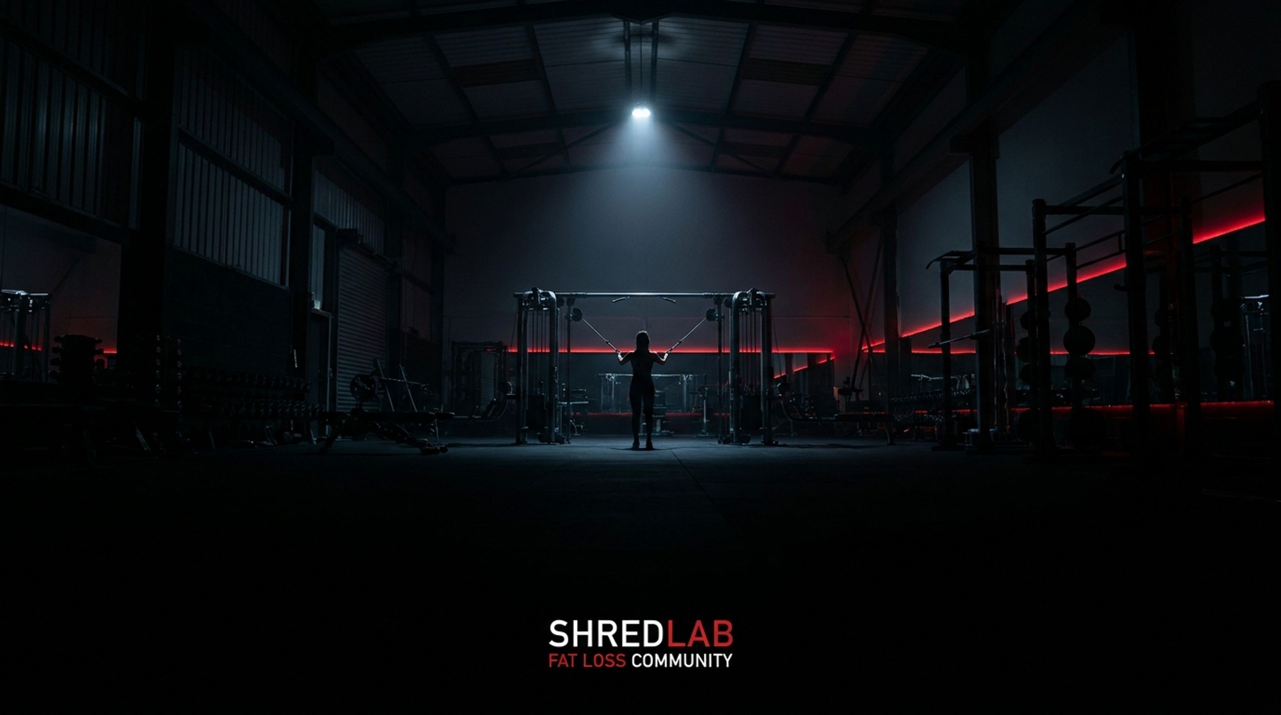ShredLab