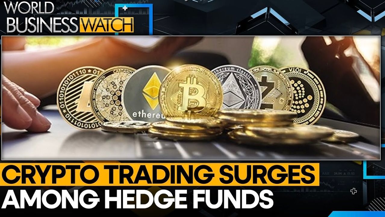 The High Roller Hedge Fund