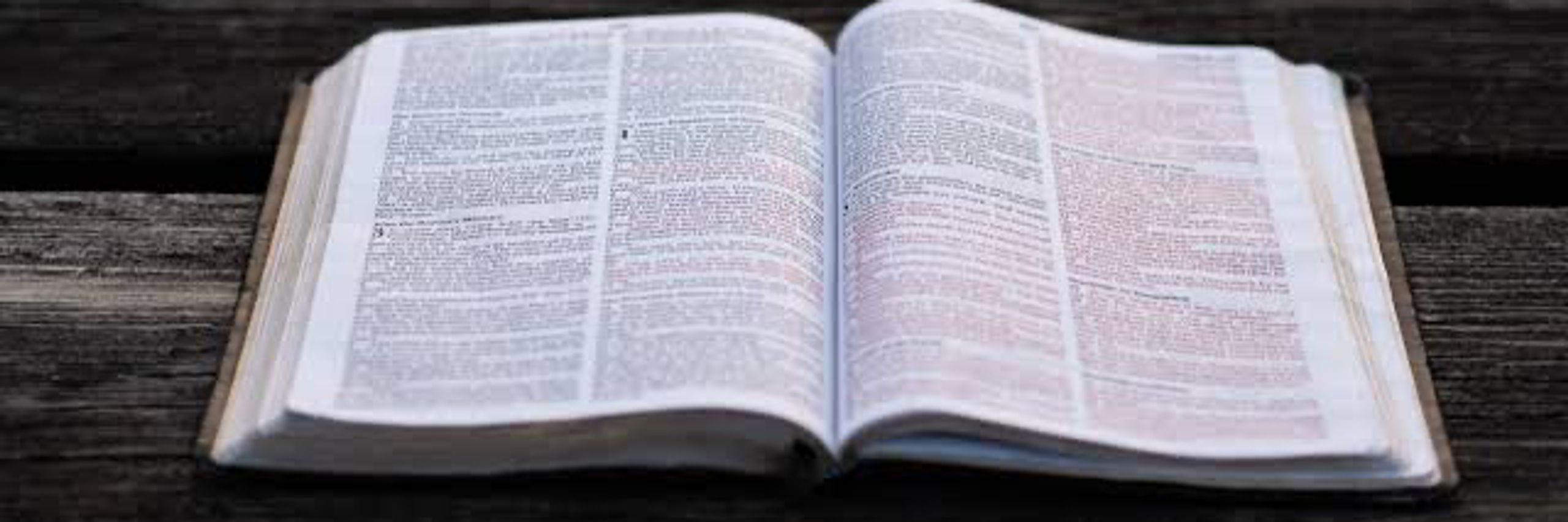 Overcome Flesh