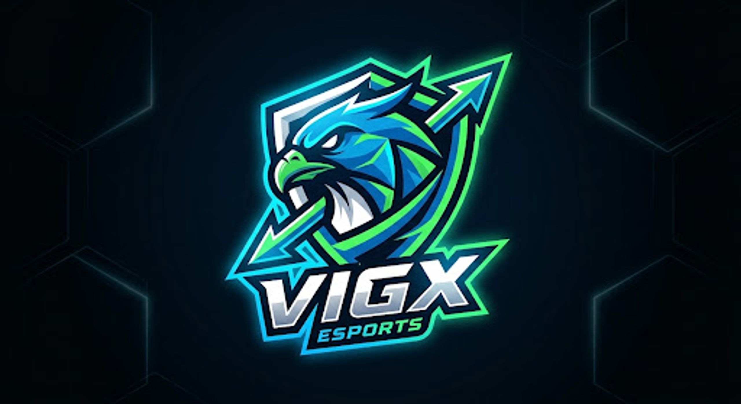 Vigx-esports