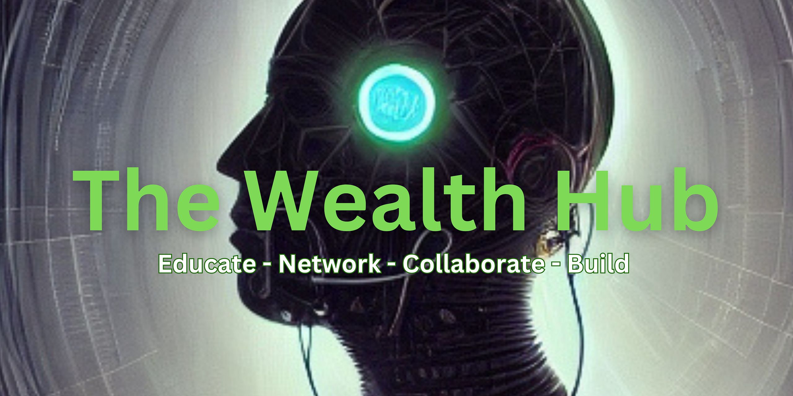 The Wealth Hub 