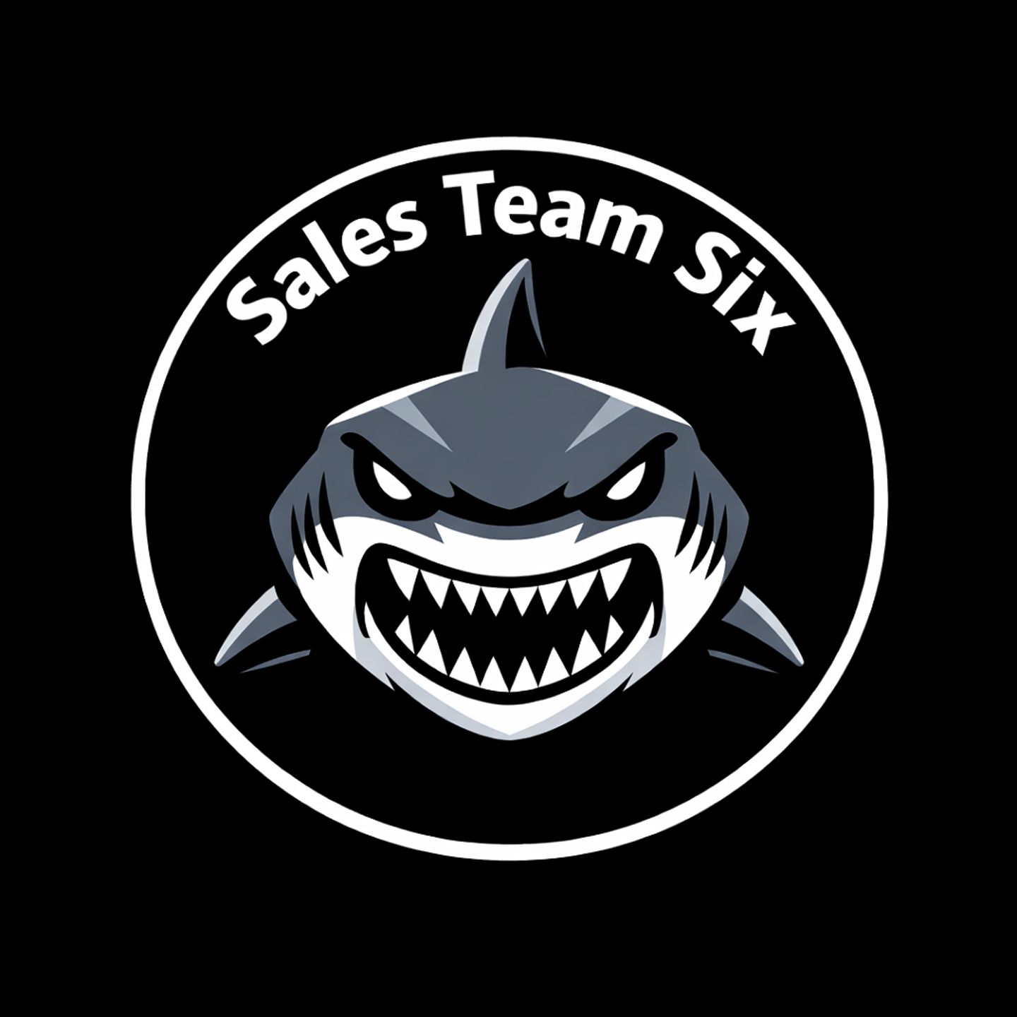 Sales Team Six