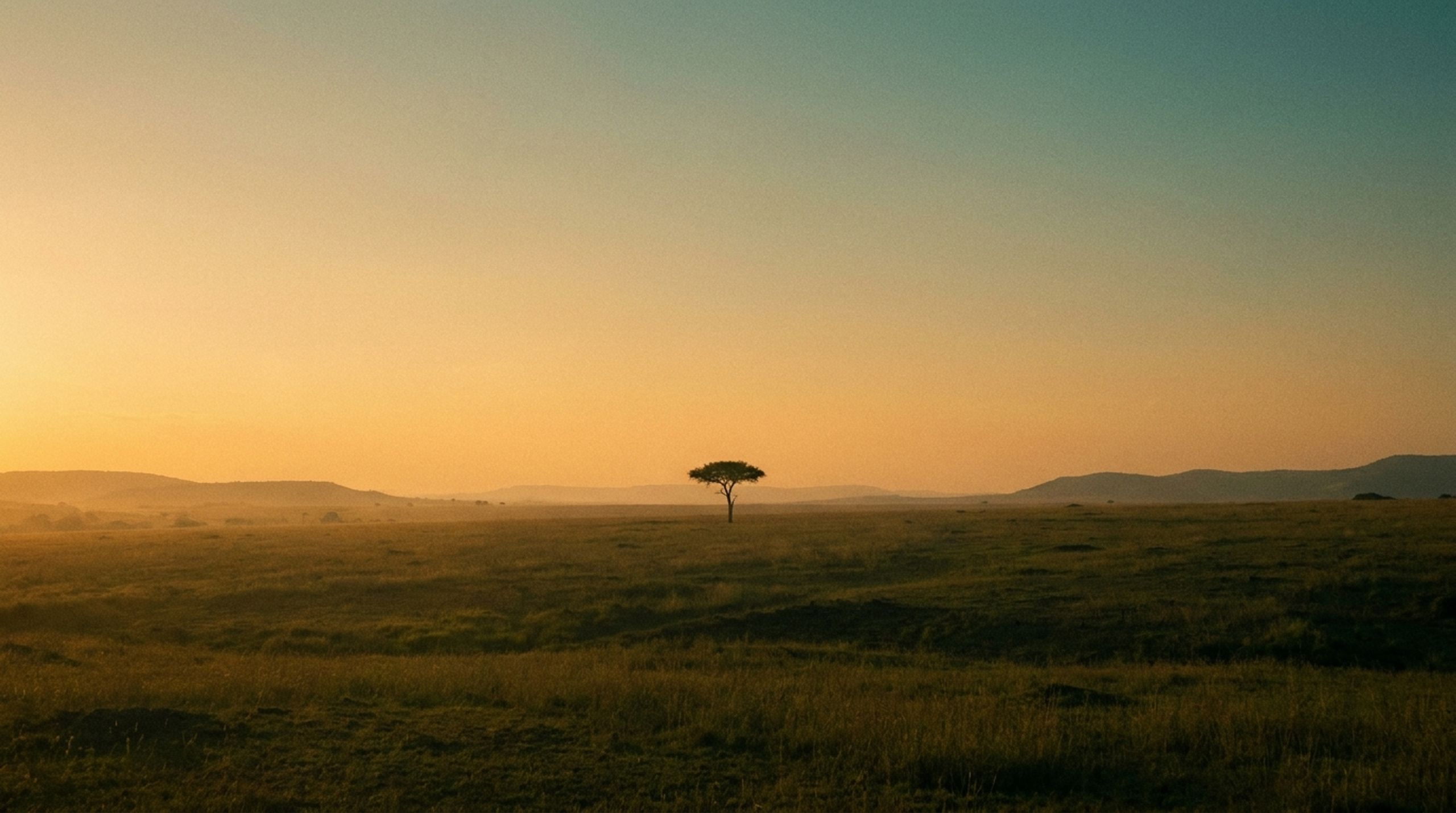 Teach Swahili to lonely foreigners