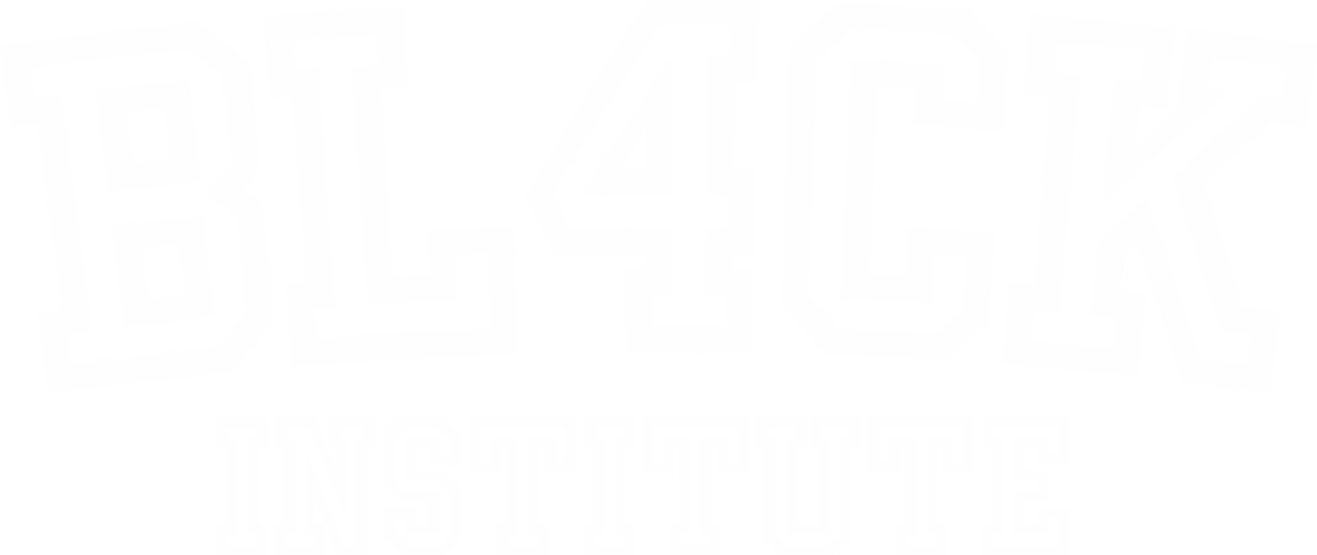 BL4CK INSTITUTE