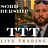 The Trading Tutor logo