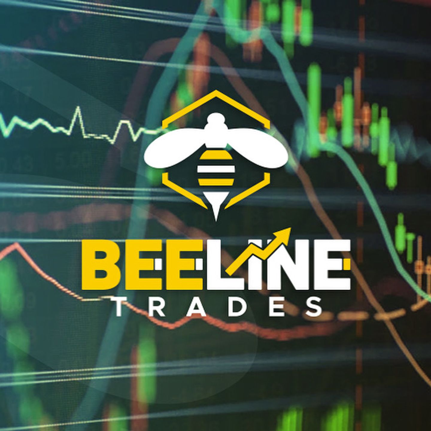 Beeline Trading Collective