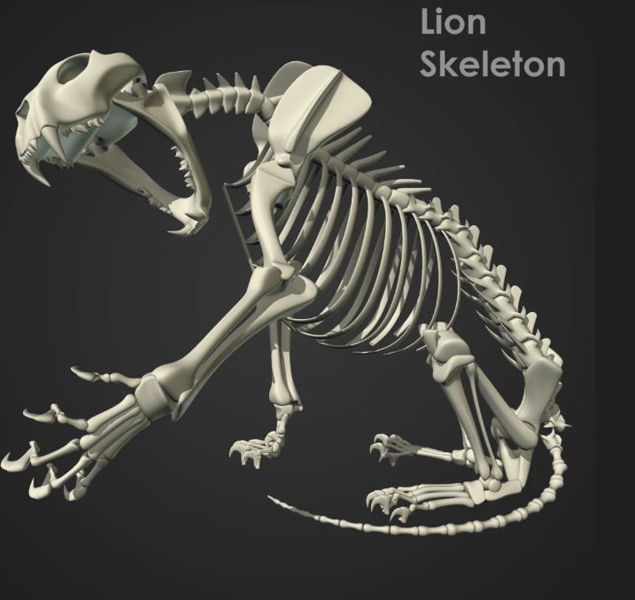 file_qdruK9BPTi8Jk