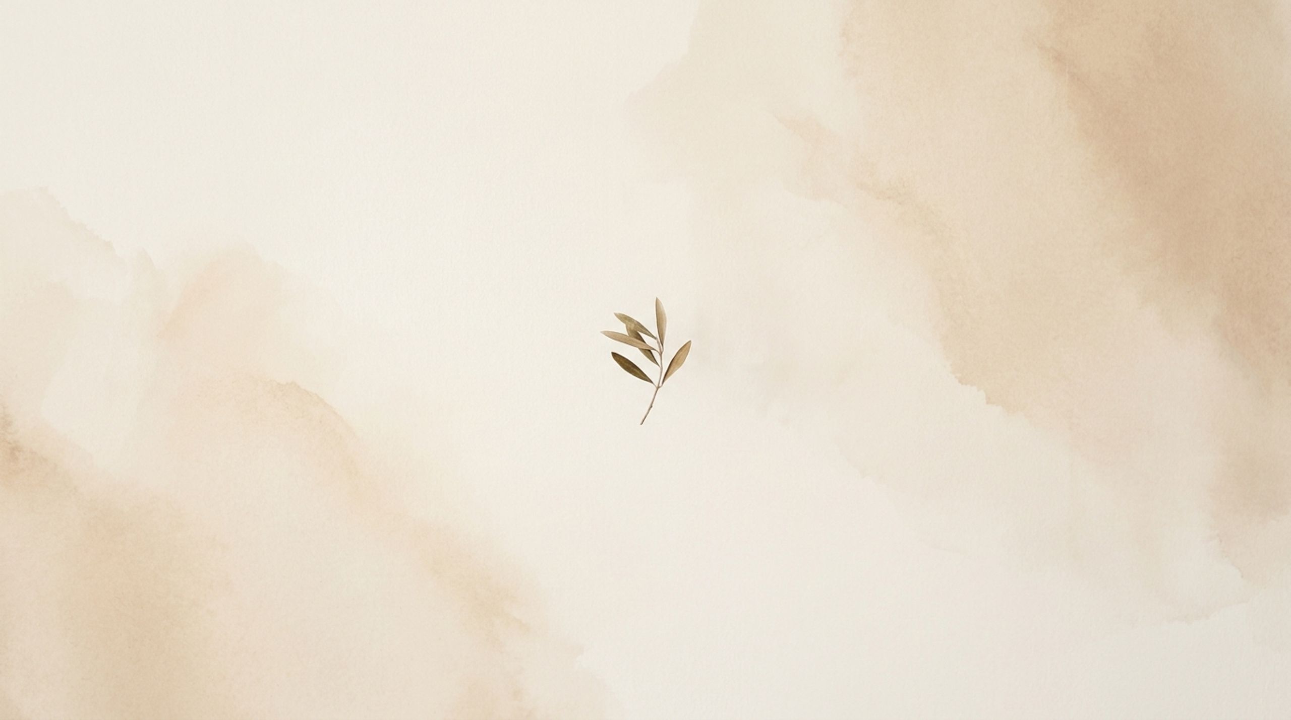 Calm Corner