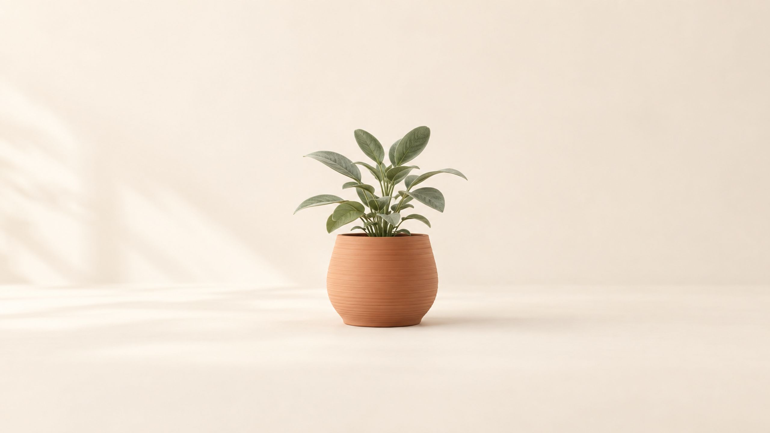 Bloomform