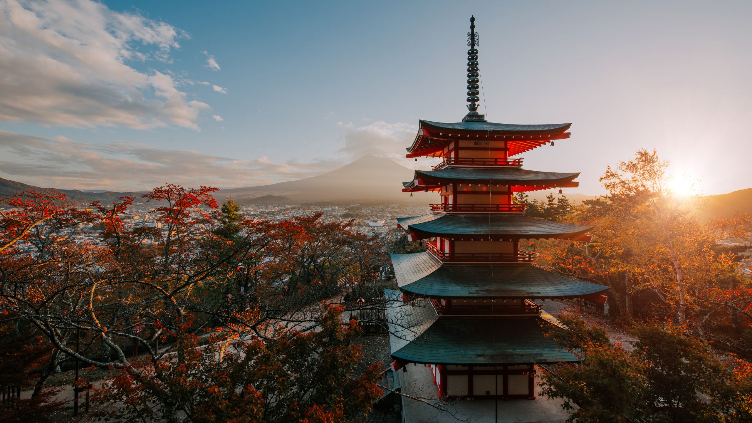 AMIDA CLAN | 阿弥陀家