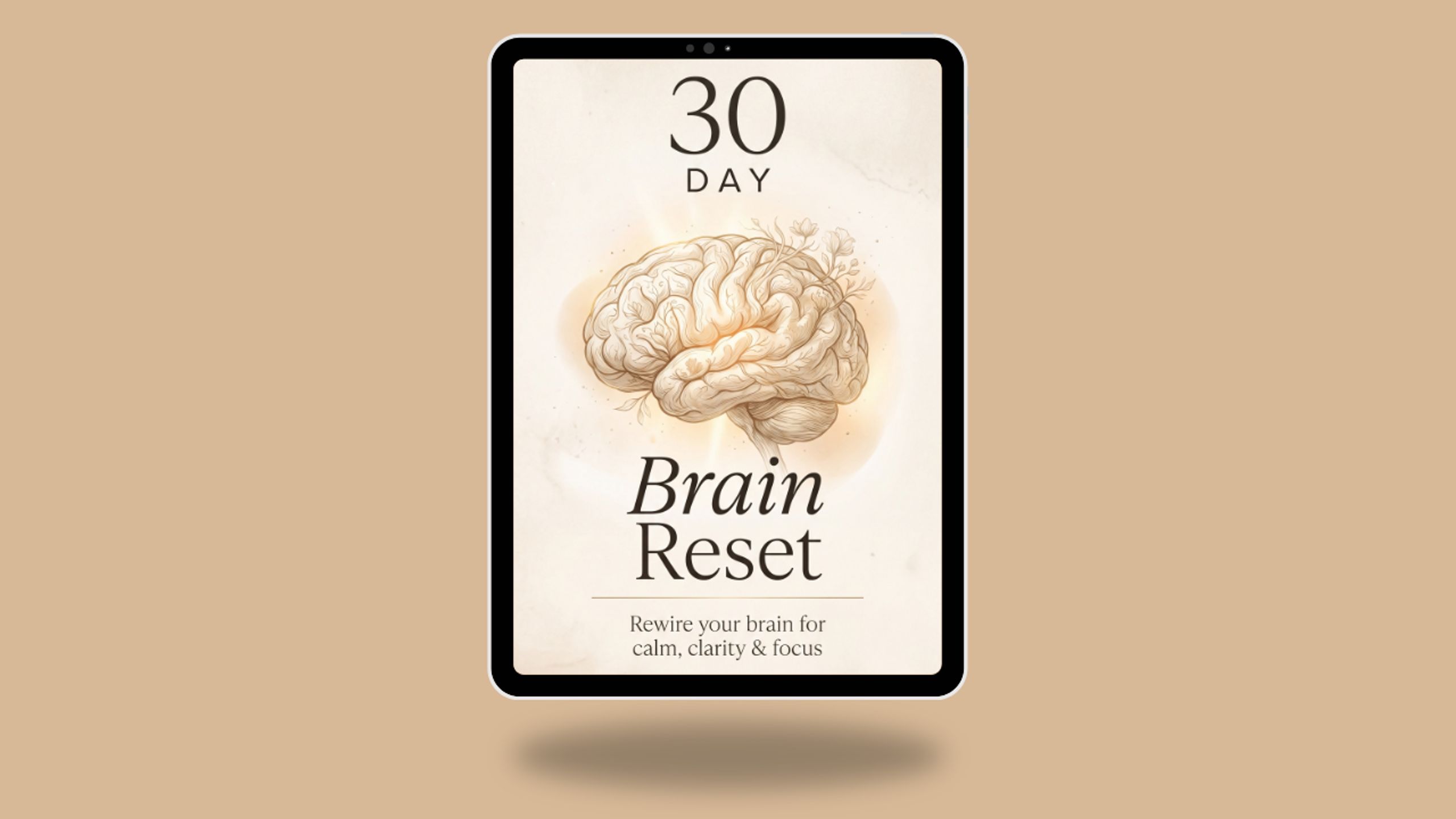 Windows Brain Error The 30-Day Brain Reset | Whop