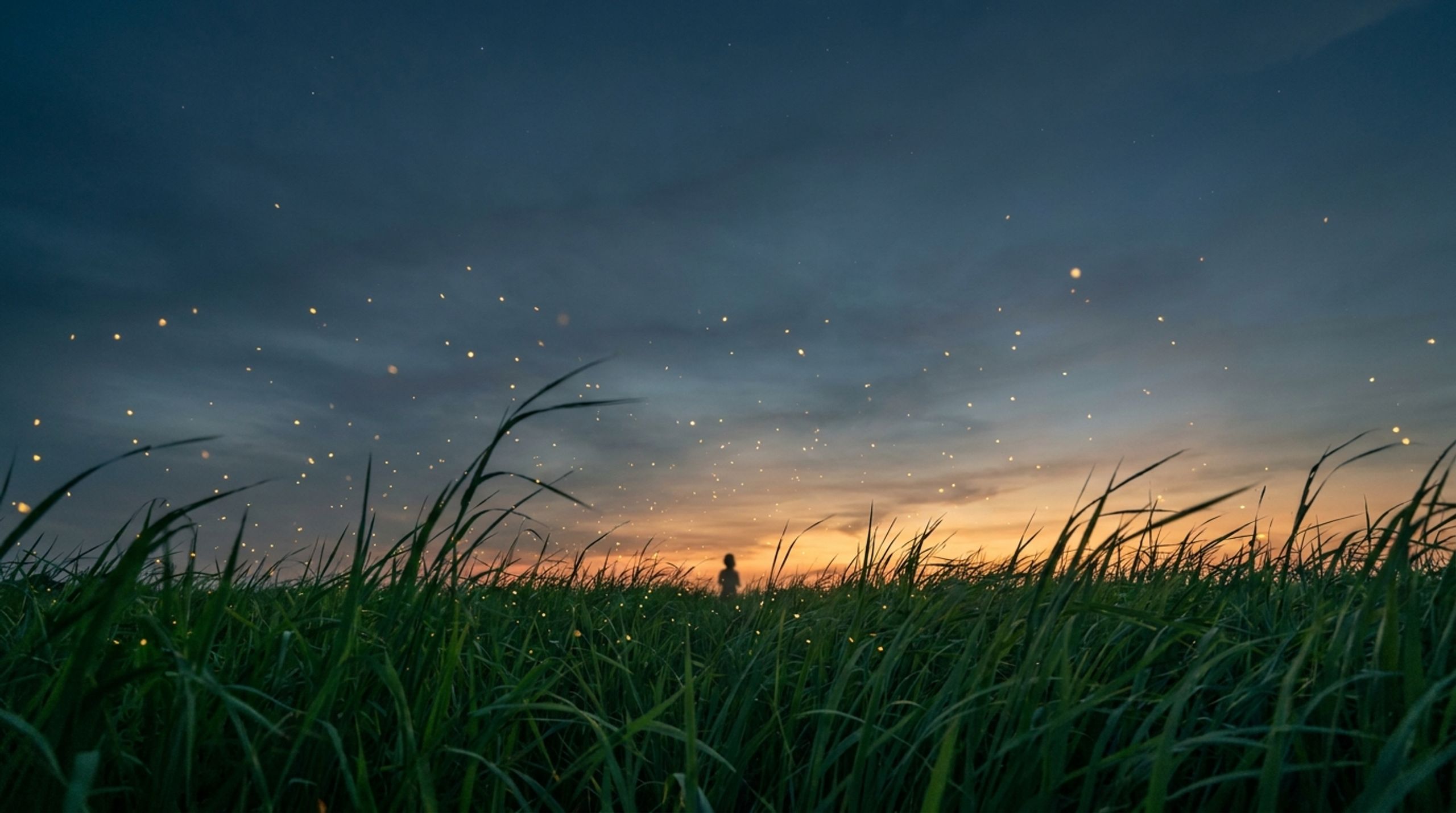 In the Tall Grass