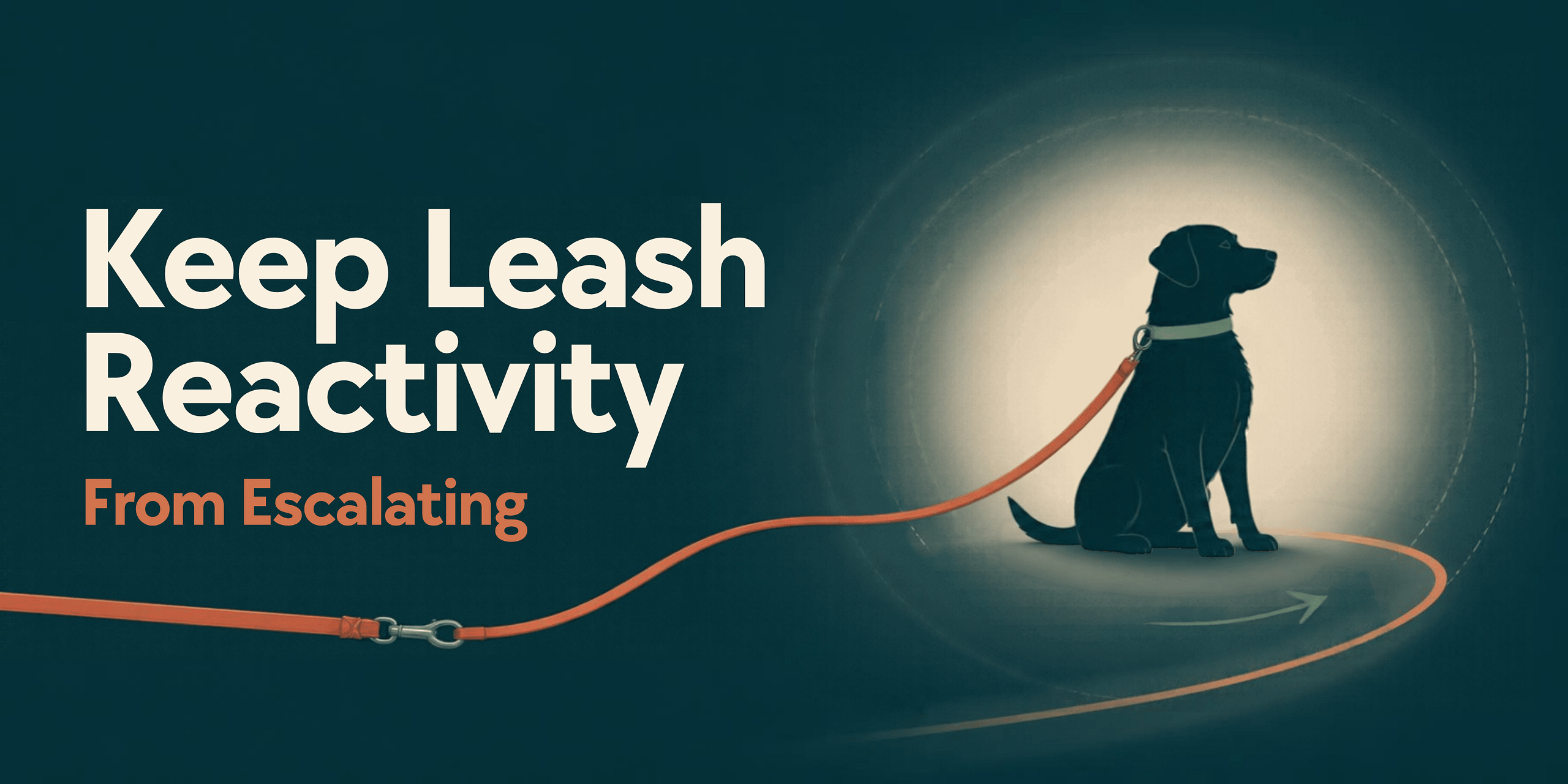 Keep Leash Reactivity From Escalating