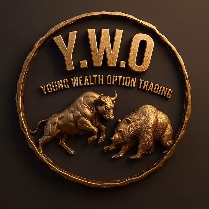 Young wealth options LLC
