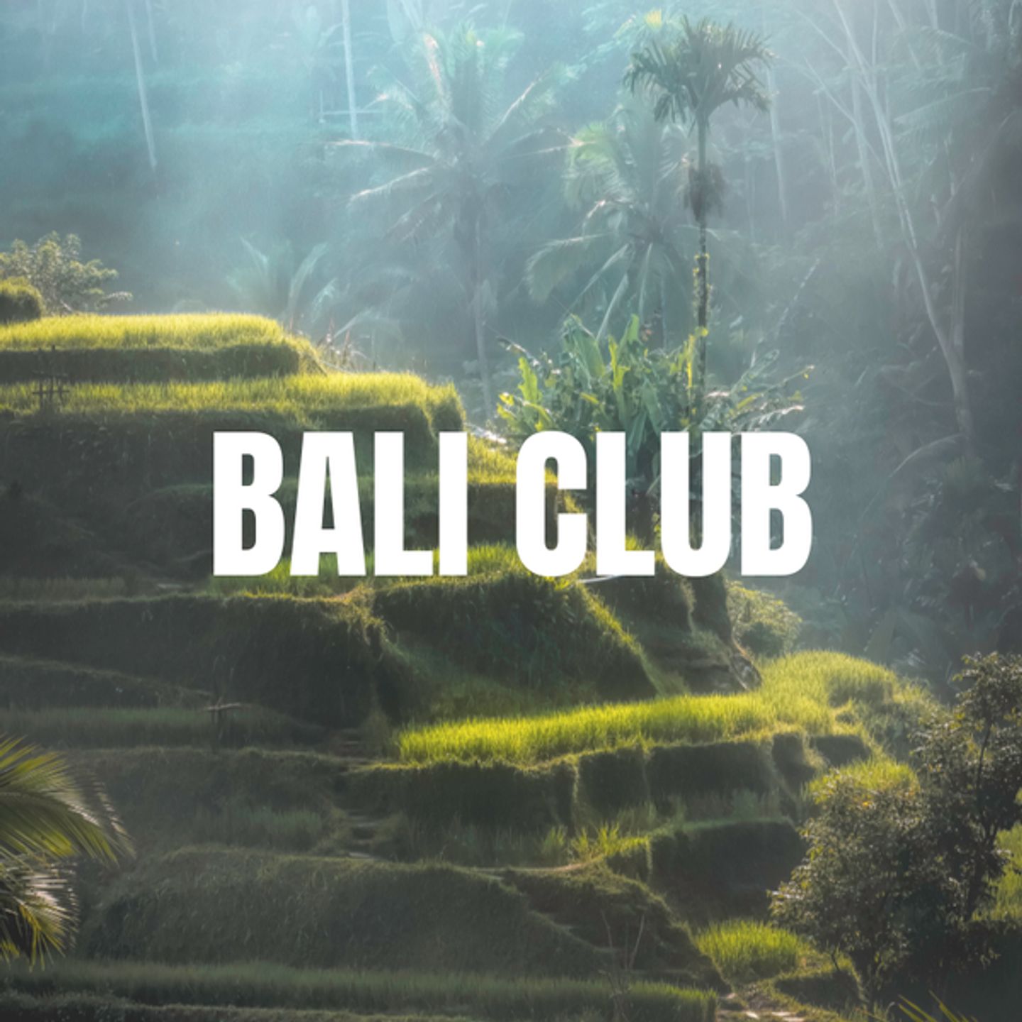 Bali club - @Tulauravoulu