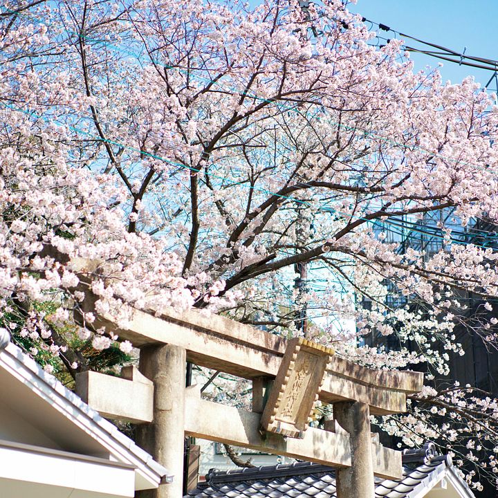 THE JAPANESE WAY TO A BETTER SELF