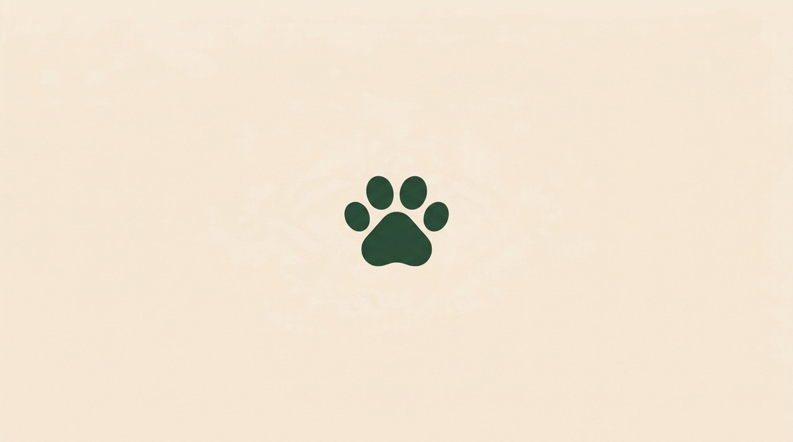 Paws & Co.