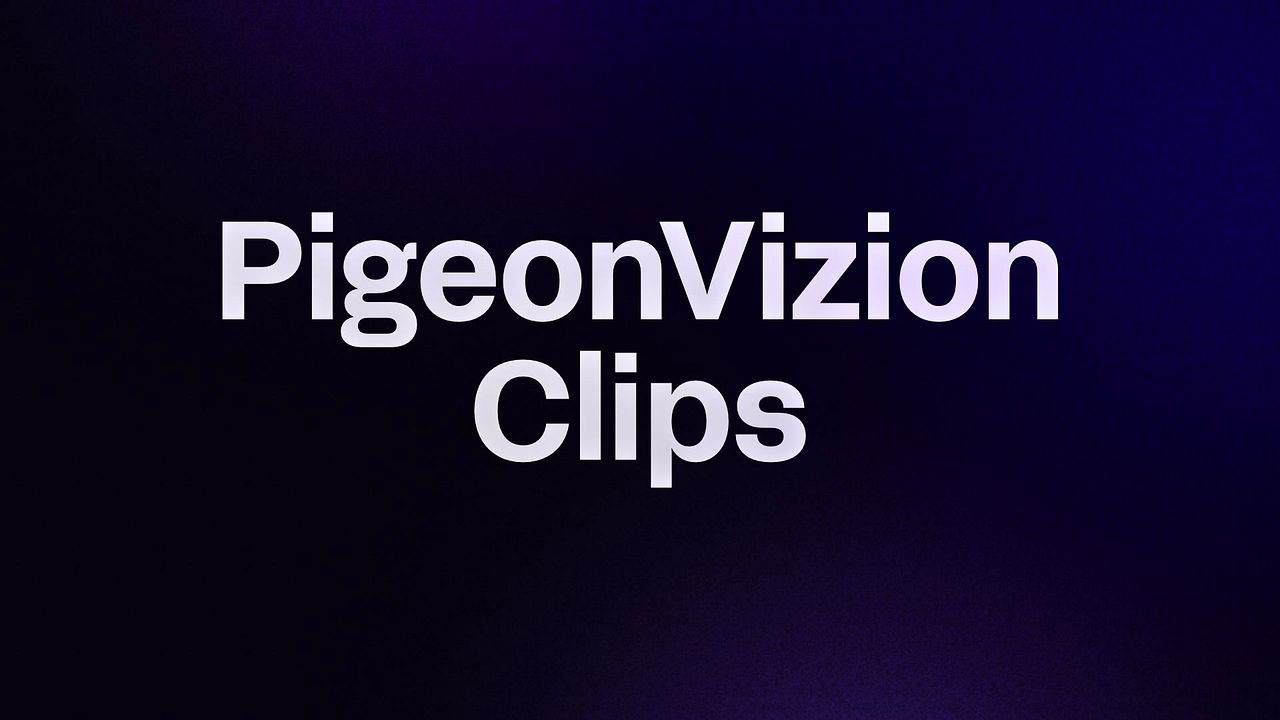 PigeonVizion Clips