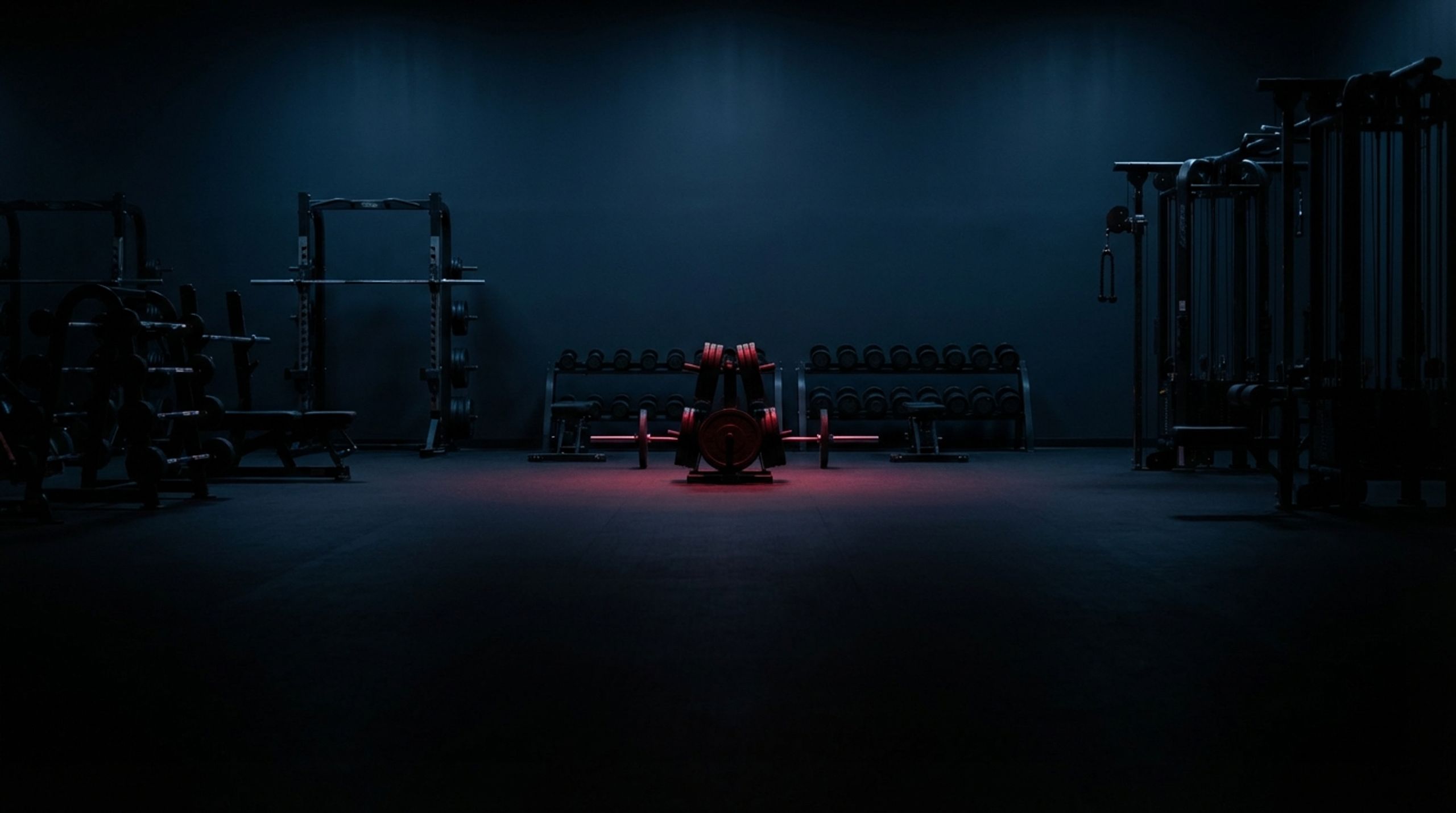 Alpha Mode Fitness