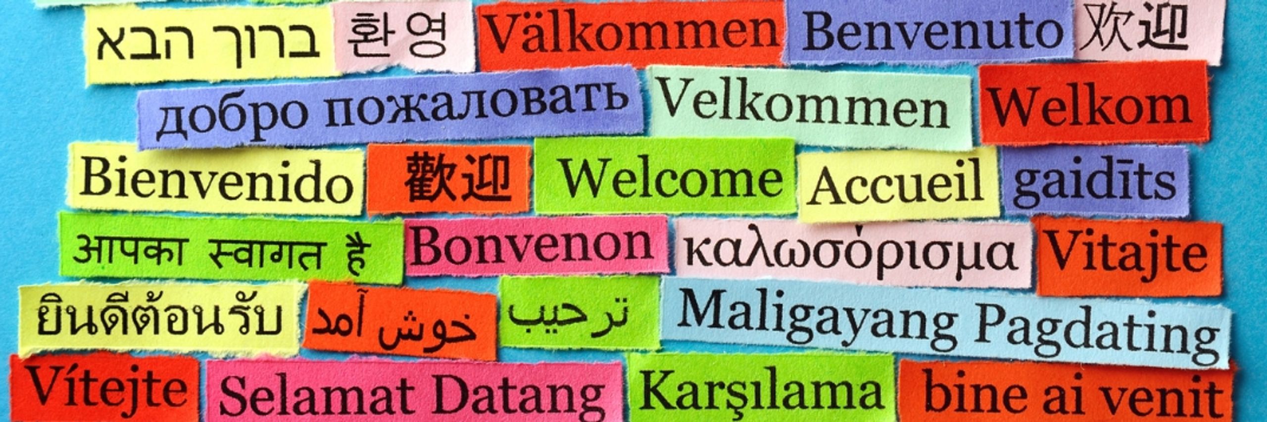 Learn Language Center