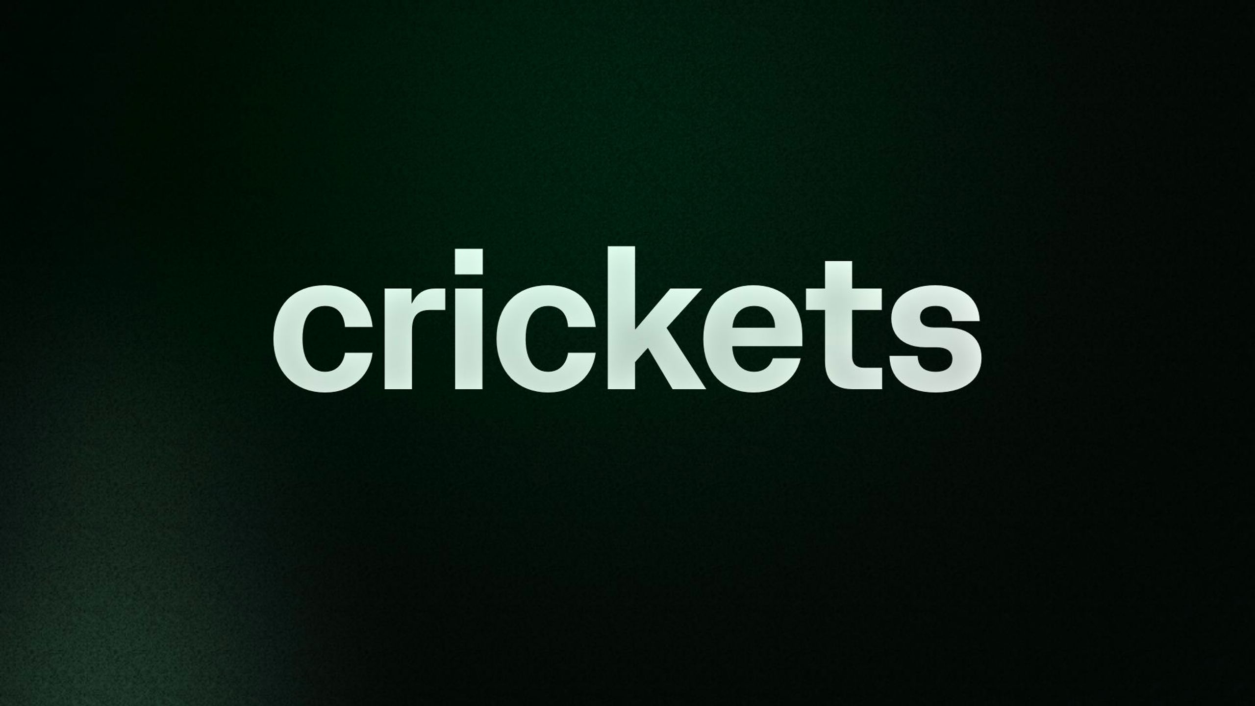 crickets 
