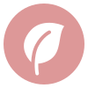 Antioxidant Support<sup>†</sup>