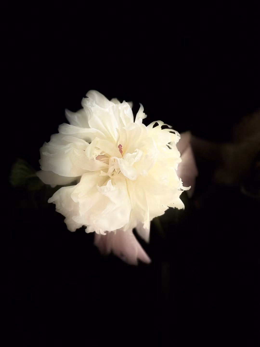 double image