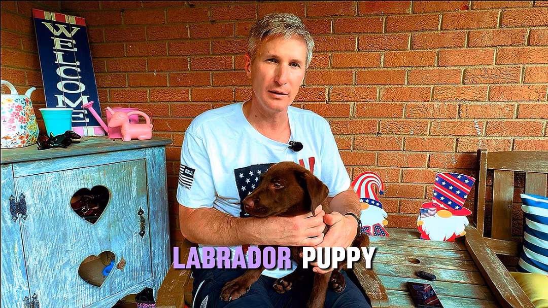 Structured basic obedience course for everyday dog owners • Focused on leash manners, recall and calm behavior • Video-based lessons you can follow at home • One-time payment with lifetime access on Whop