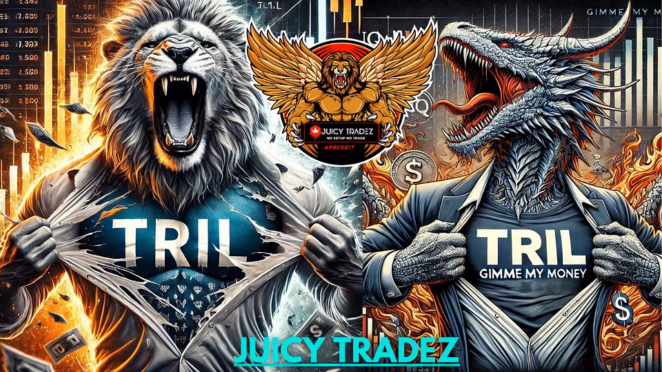 Bronze 6 Month Access