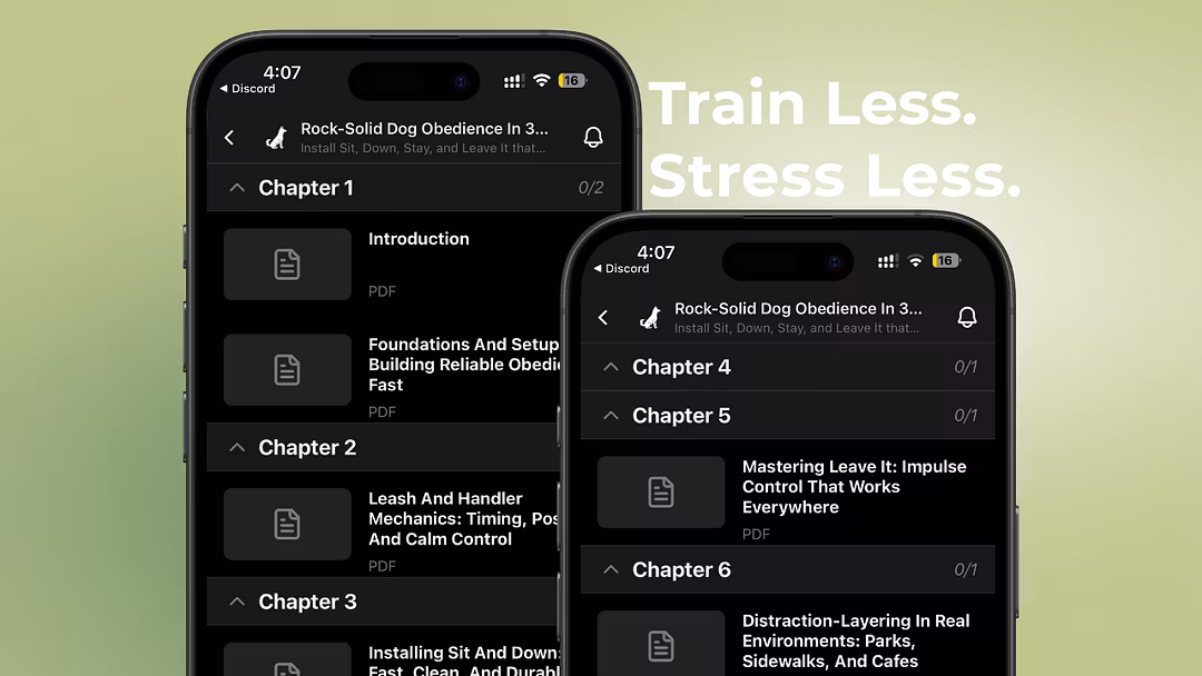 Paw Minds: Fast Obedience