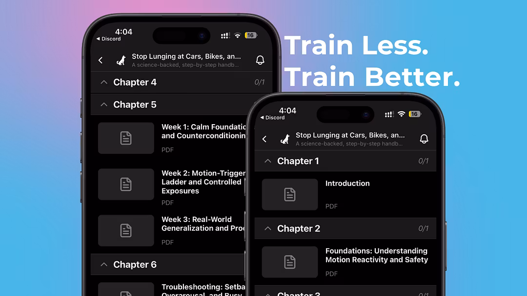 Paw Minds: 21-Day Calm Walks