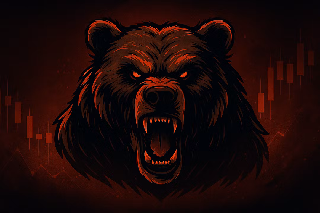 Bear Market Bootcamp