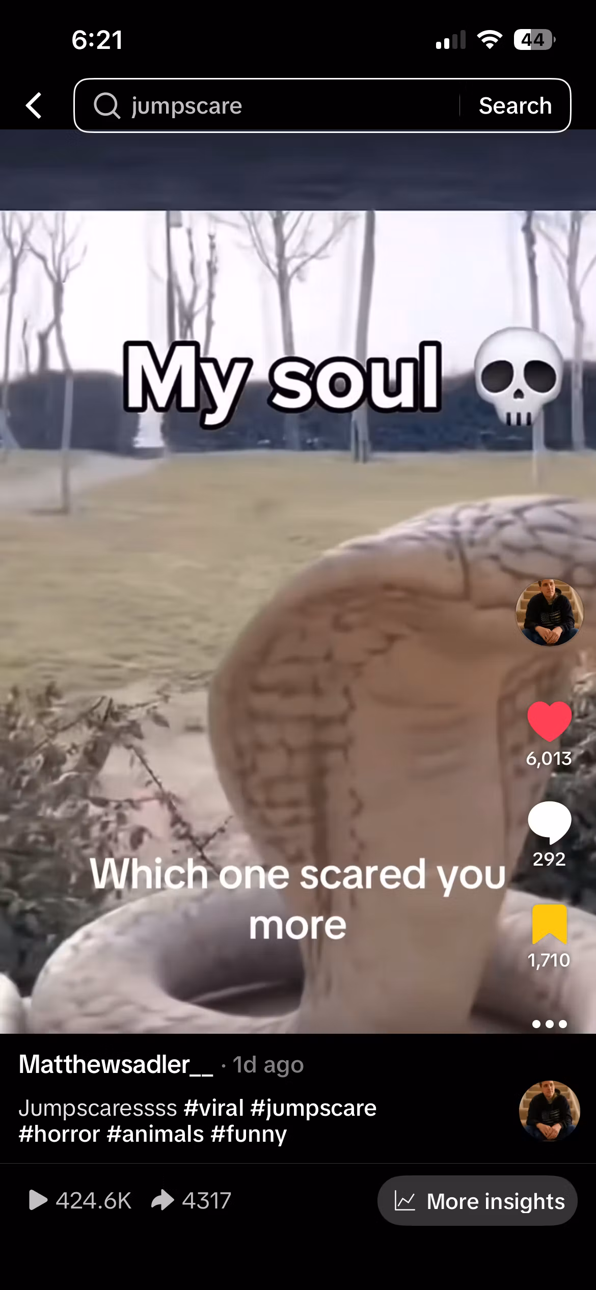 file_iAEgqiDYSPNjS