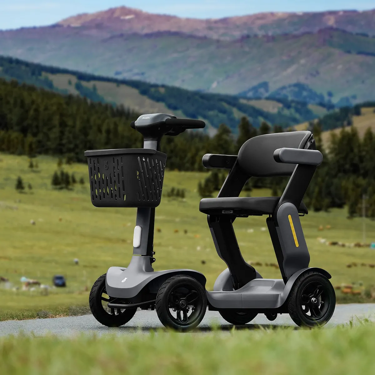 Paiseec S3 Foldable Mobility Scooter